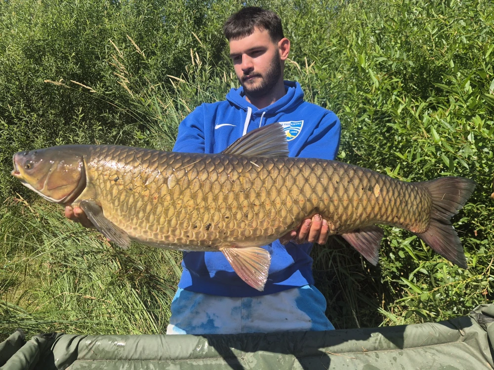 Noćni amur od 11 kilograma – čarolija Sabljaka