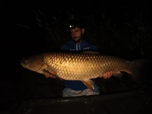 Noćni amur od 11 kilograma – čarolija Sabljaka