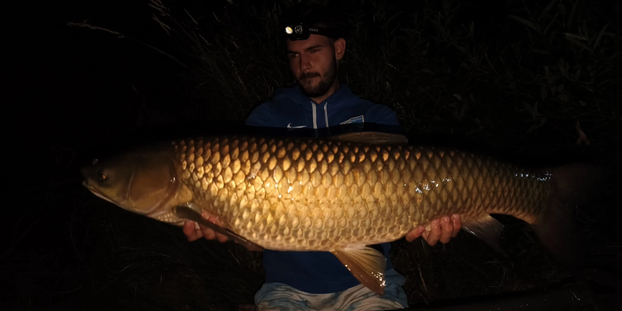 Noćni amur od 11 kilograma – čarolija Sabljaka