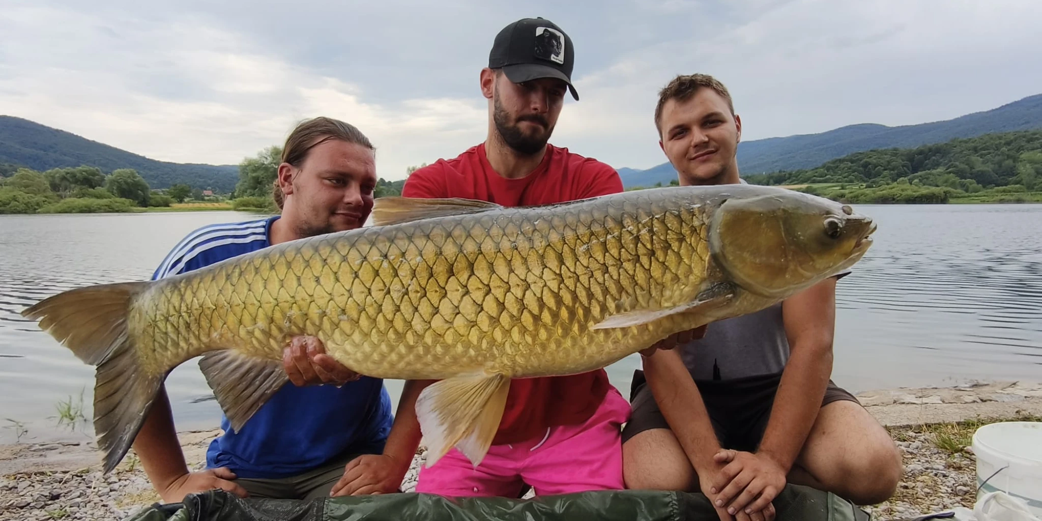 Tri kapitalna amura od čak 45,28 kg ukupno!