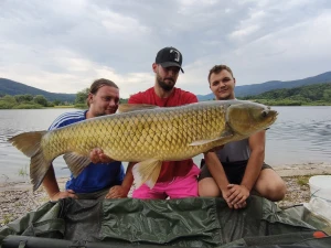 Tri kapitalna amura od čak 45,28 kg ukupno!