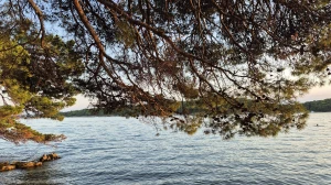 Uvala svete Eufemije, Otok Rab