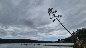 Uvala svete Eufemije, Otok Rab