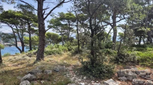 Uvala svete Eufemije, Otok Rab