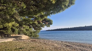Uvala svete Eufemije, Otok Rab
