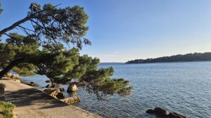 Uvala svete Eufemije, Otok Rab